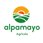 alpamayo-removebg-preview