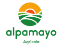alpamayo-removebg-preview